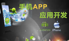 手機app開發(fā)11大步驟、技術人員、常用接口