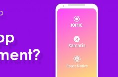 為什么要定制APP開發(fā)，APP開發(fā)定制的好處？