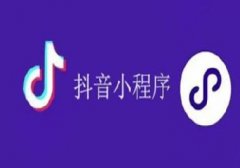 抖音小程序開發-概述|流程|注意事項